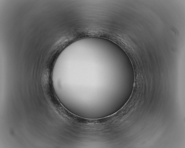 X0000110720744200906191505