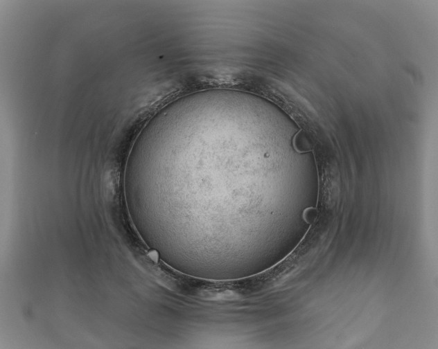 X0000110720747200906191505