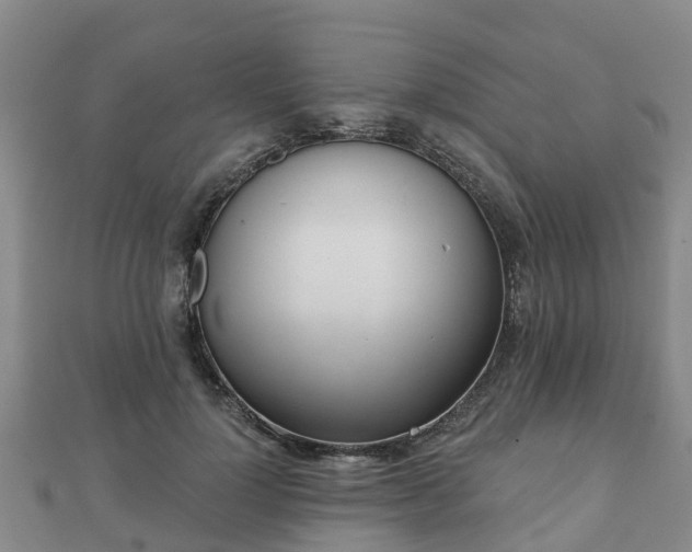 X0000110720748200906191505