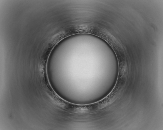 X0000110720749200906191505