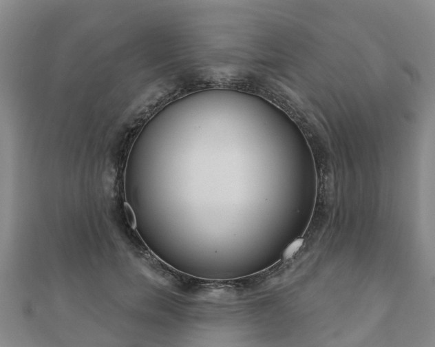 X0000110720750200906191505
