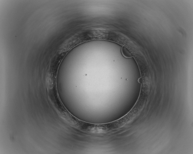 X0000110720751200906191505