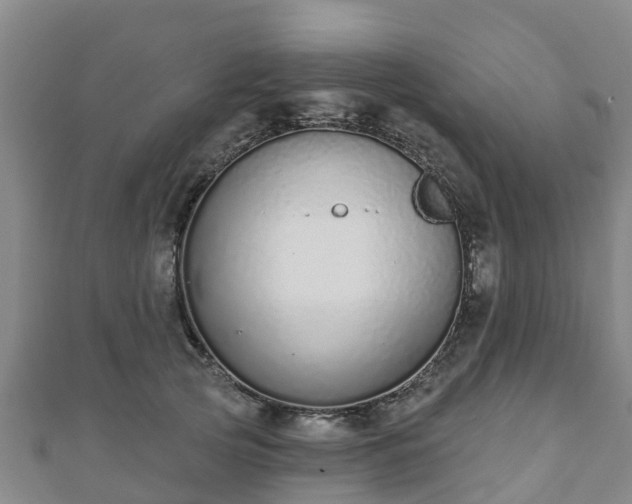 X0000110720753200906191505