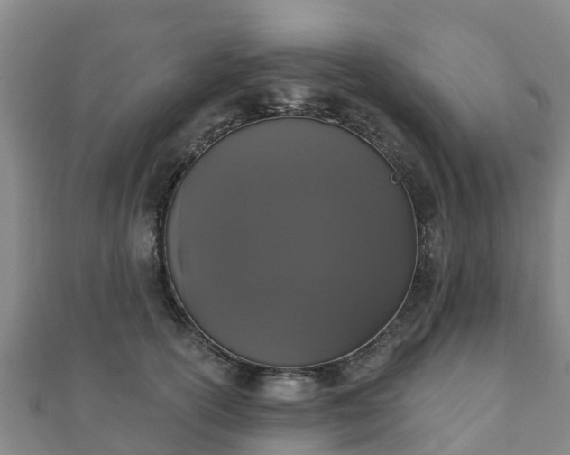 X0000110720754200906191505