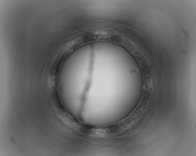 X0000110720756200906191505