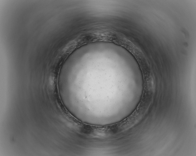 X0000110720757200906191505