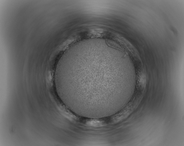 X0000110720759200906191505