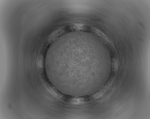 X0000110720760200906191505