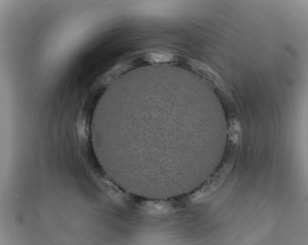 X0000110720763200906191506
