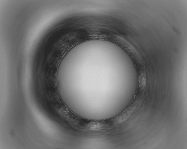 X0000110720764200906191506
