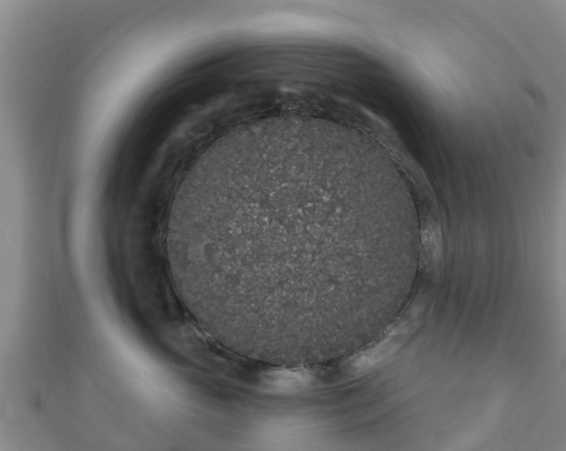 X0000110720765200906191506