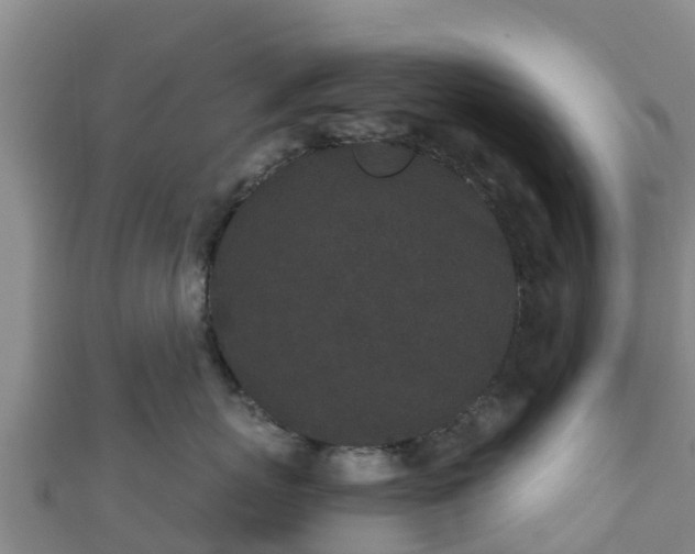 X0000110720767200906191506