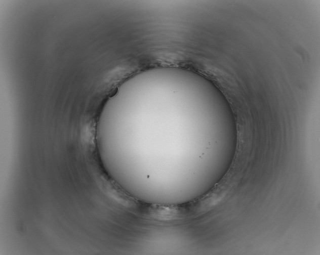 X0000110720768200906191506