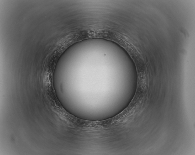 X0000110720770200906191505