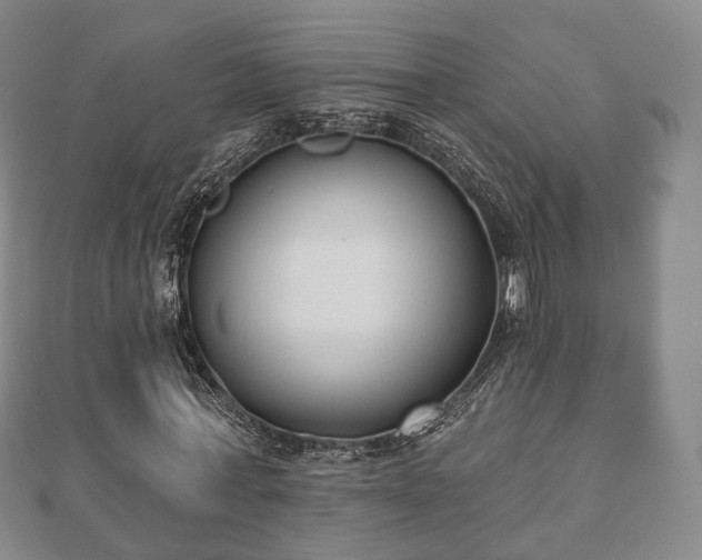 X0000110720771200906191505