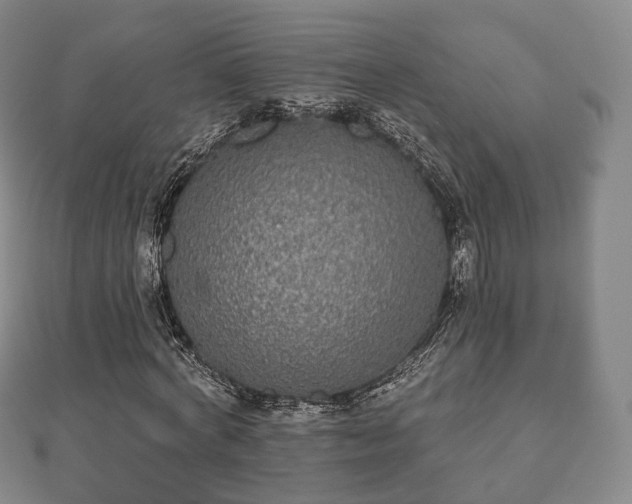 X0000110720772200906191505