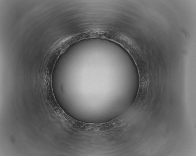 X0000110720773200906191505