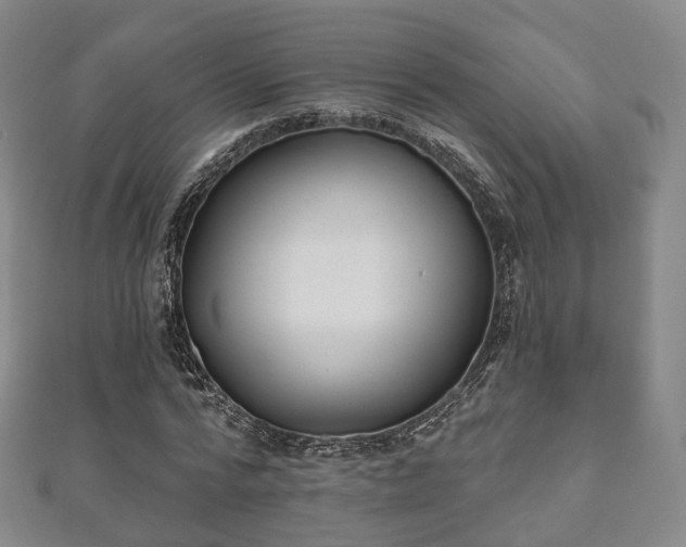 X0000110720776200906191505