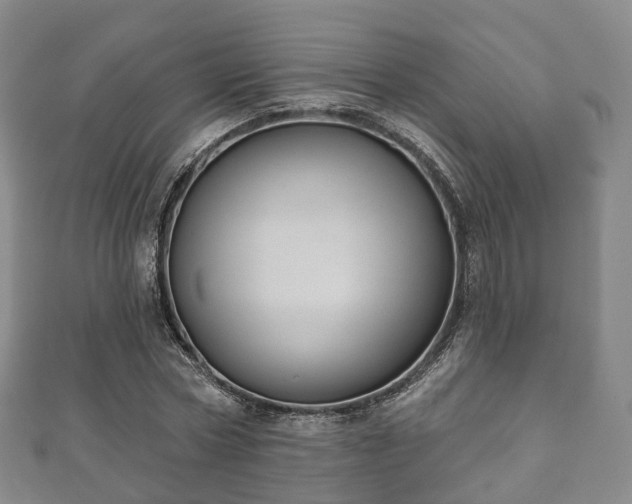 X0000110720778200906191505
