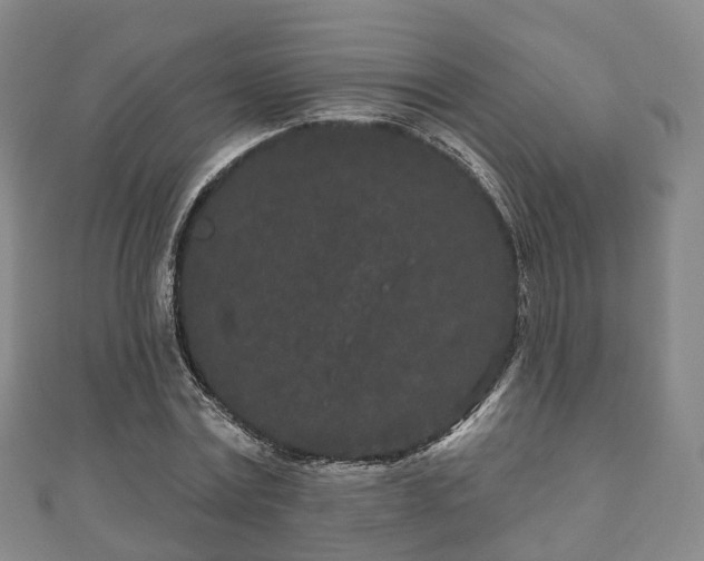 X0000110720779200906191505