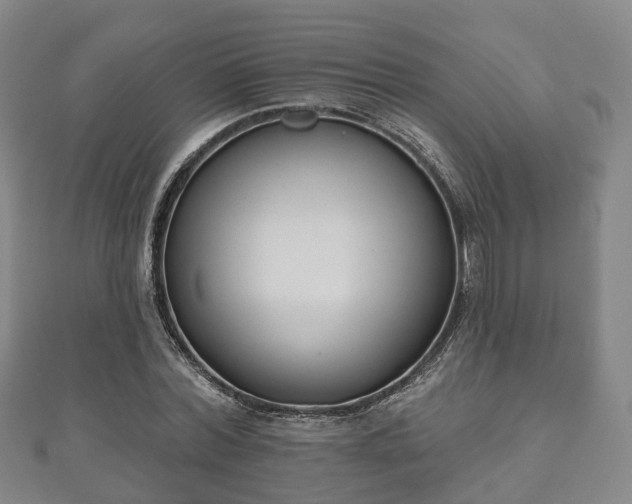 X0000110720780200906191505