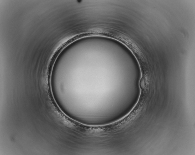 X0000110720784200906191505