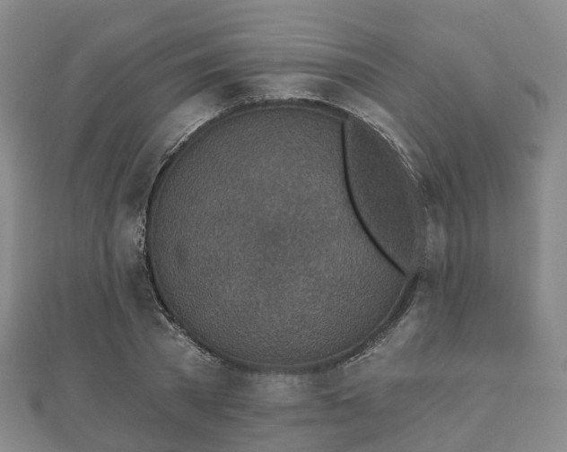 X0000110720785200906191505