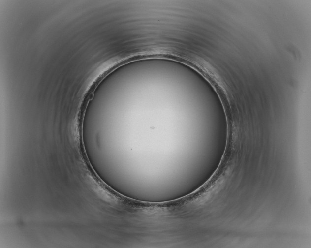 X0000110720789200906191505