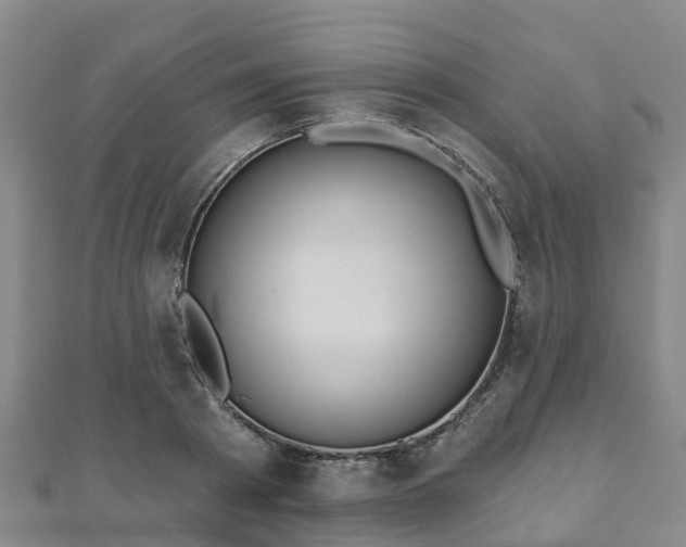 X0000110720793200906191505