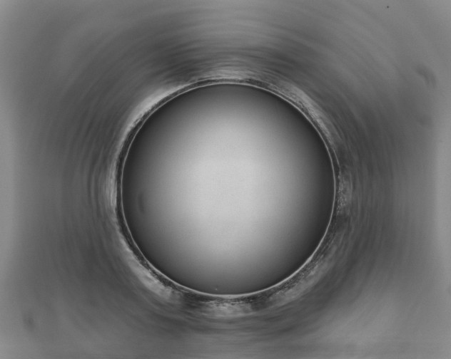 X0000110720795200906191505