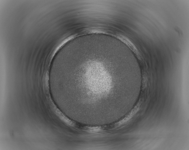 X0000110720798200906191505