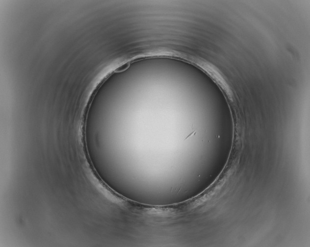 X0000110720805200906191504