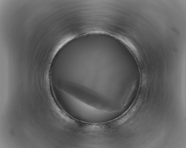 X0000110720806200906191504