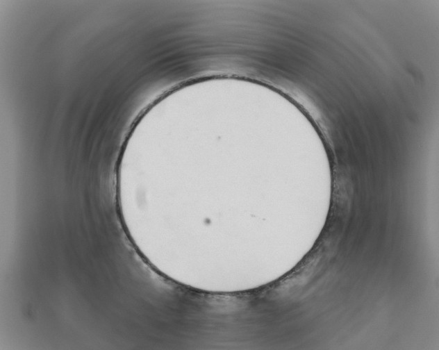X0000110720807200906191504
