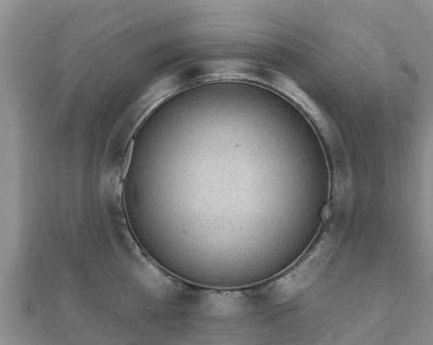 X0000110720809200906191504