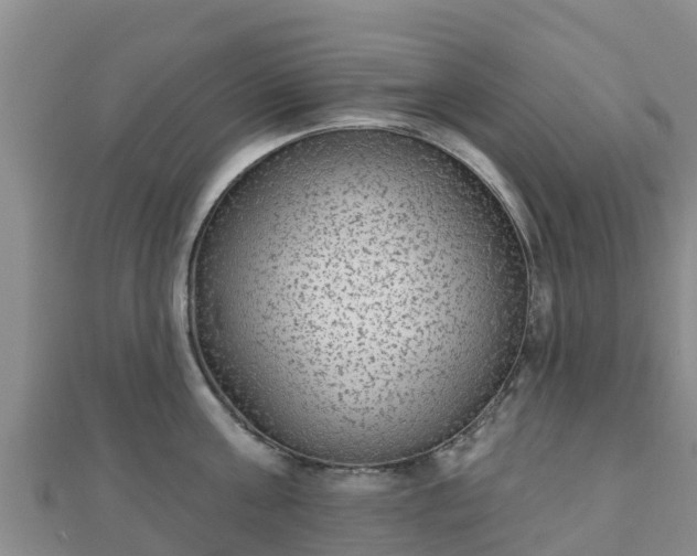 X0000110720811200906191504
