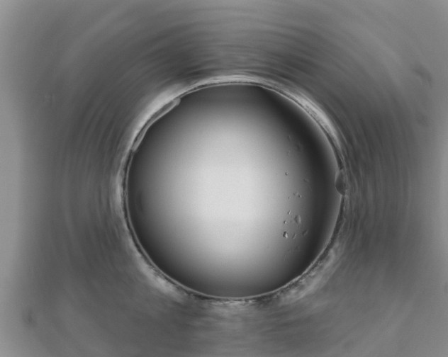 X0000110720813200906191504
