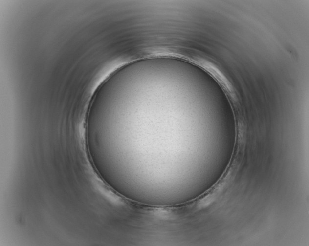 X0000110720814200906191504