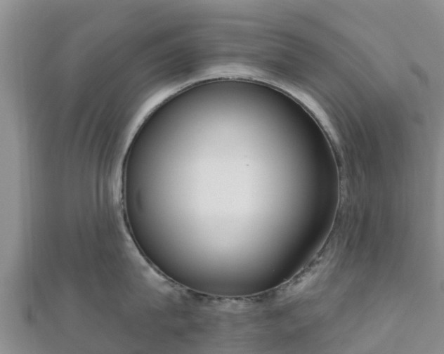 X0000110720815200906191504