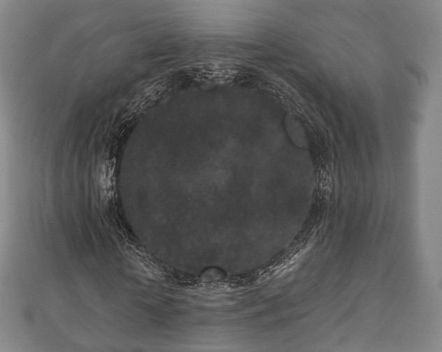 X0000110720818200906191504
