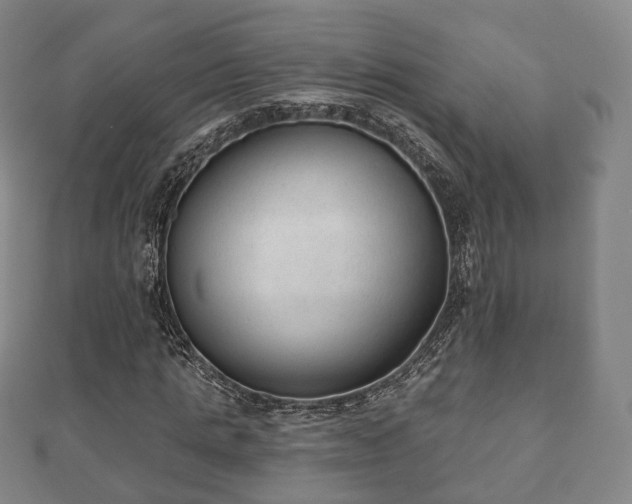X0000110720821200906191504