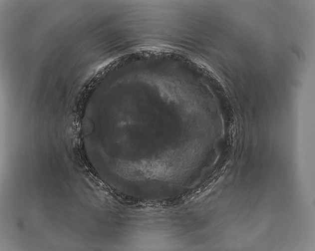 X0000110720822200906191504