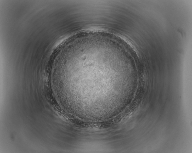X0000110720823200906191504