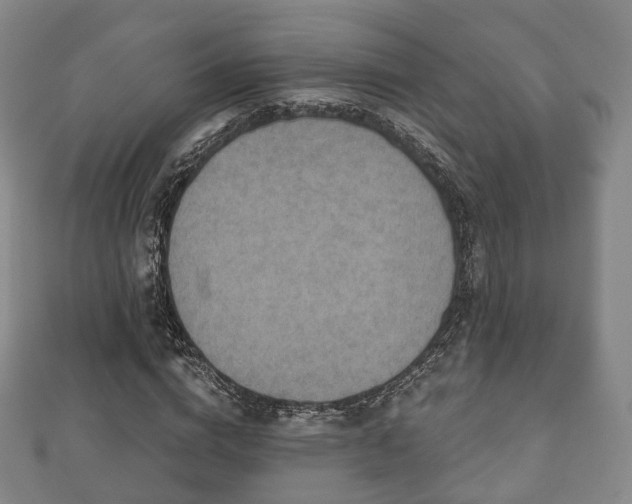 X0000110720824200906191504