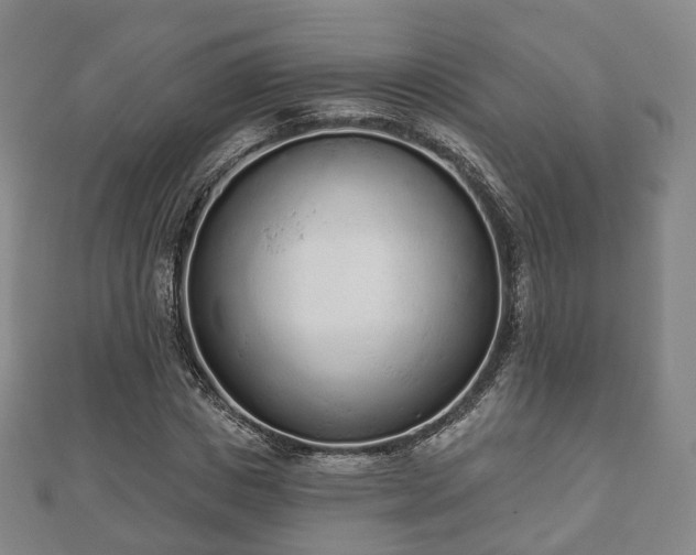 X0000110720825200906191504