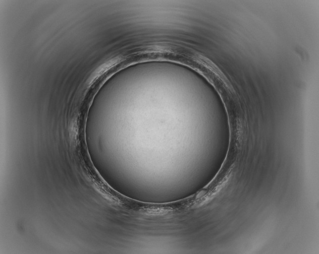 X0000110720826200906191504