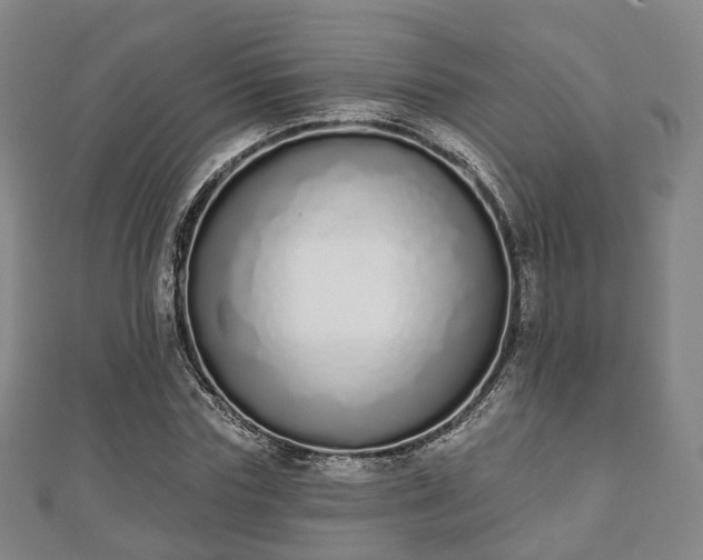 X0000110720827200906191504