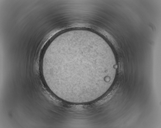 X0000110720828200906191504