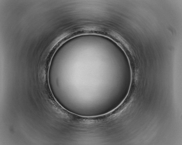 X0000110720829200906191504
