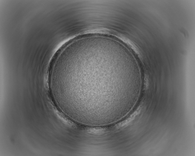 X0000110720830200906191504